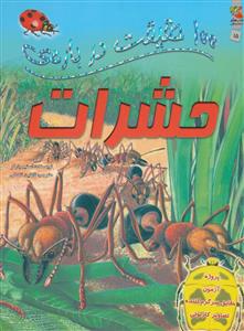 100 حقیقت درباره حشرات