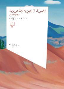 زخمی که از زمین به ارث می برید (مجموعه شعر)