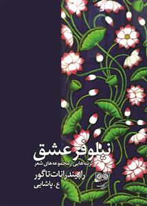 نیلوفر عشق
