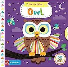 My Magical Owl